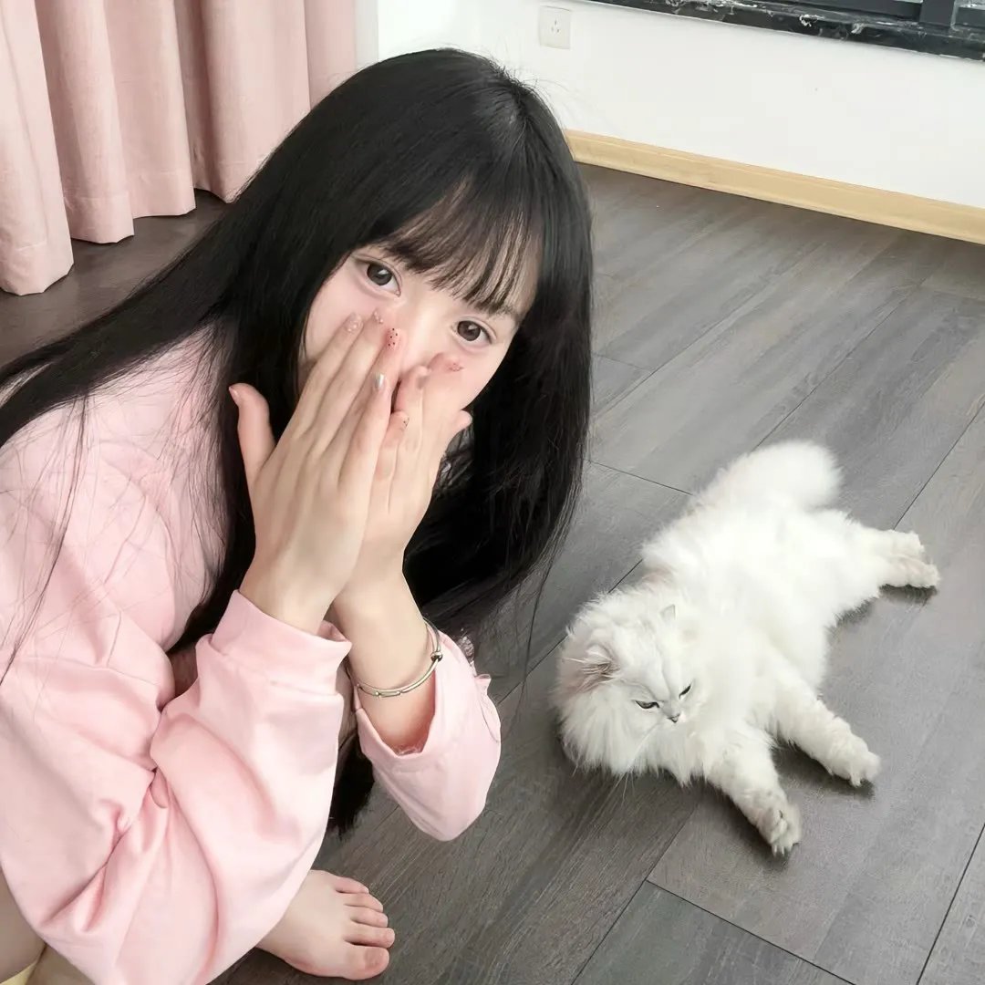 借借妳人生